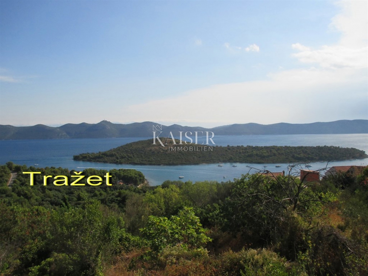 MALI IŽ