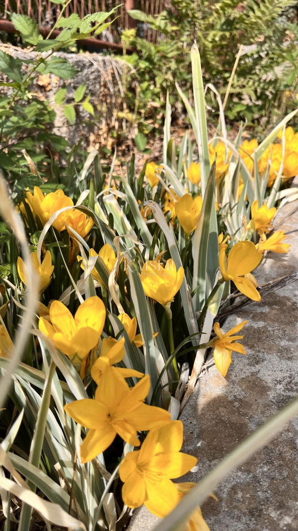 image 16