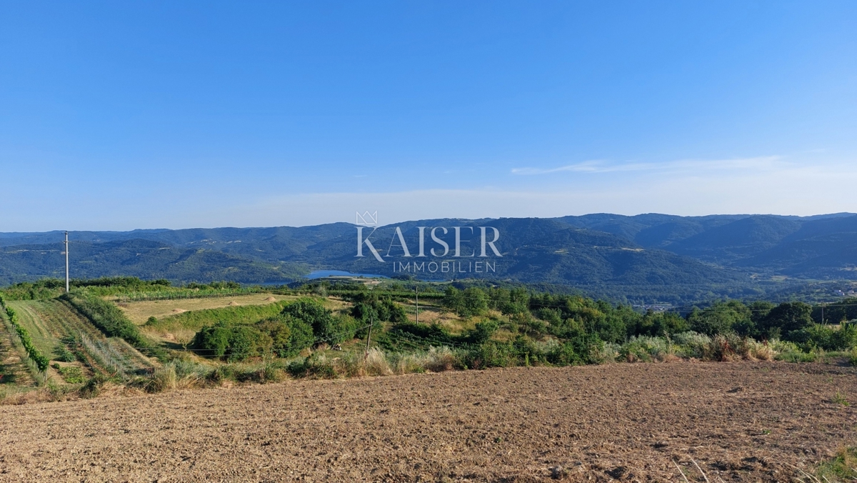 BUZET