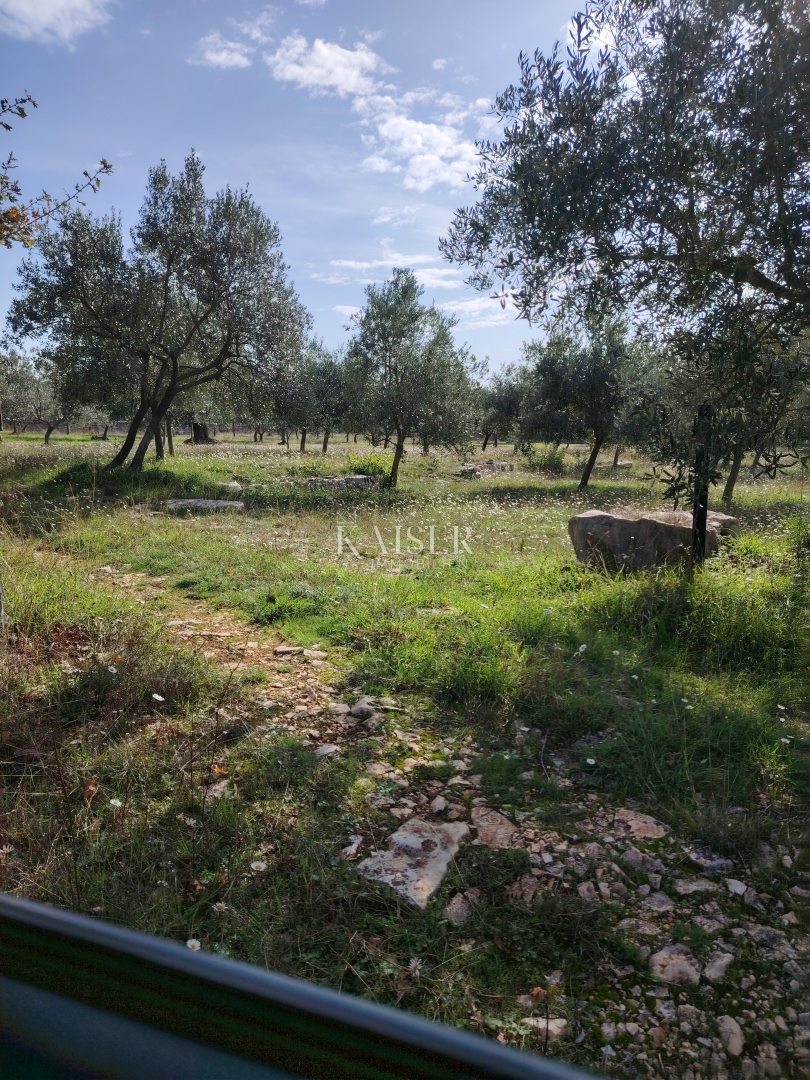 Terreno VODNJAN, 51.000 €