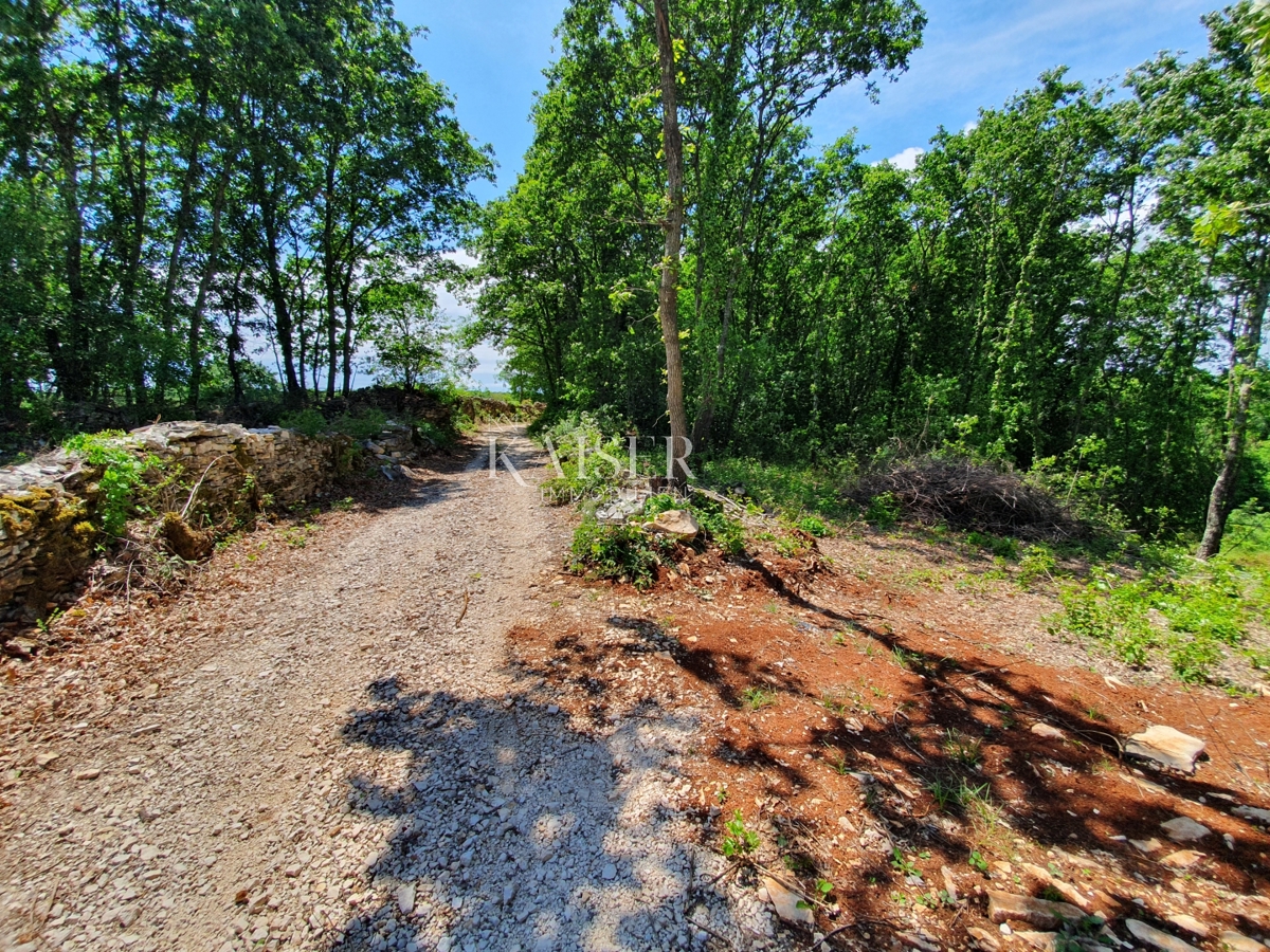 SVETI LOVREČ PAZENATIČKI