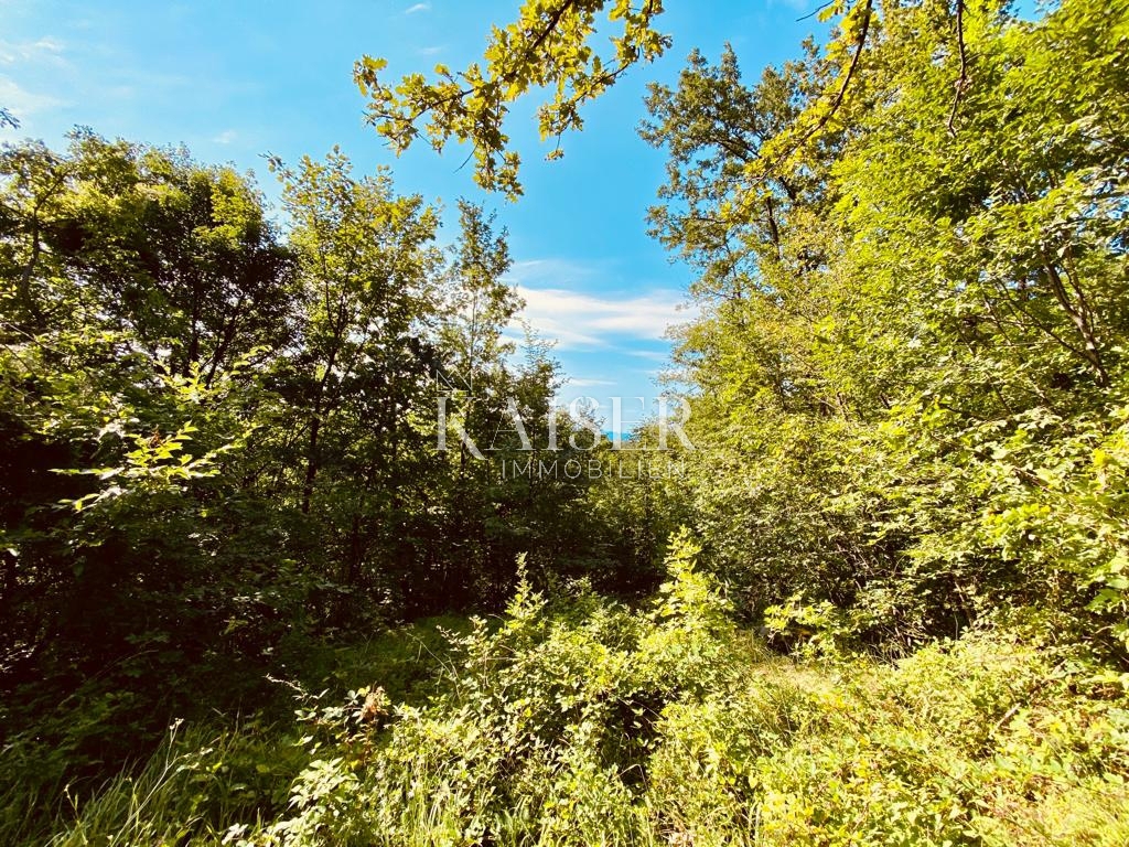 VEPRINAC