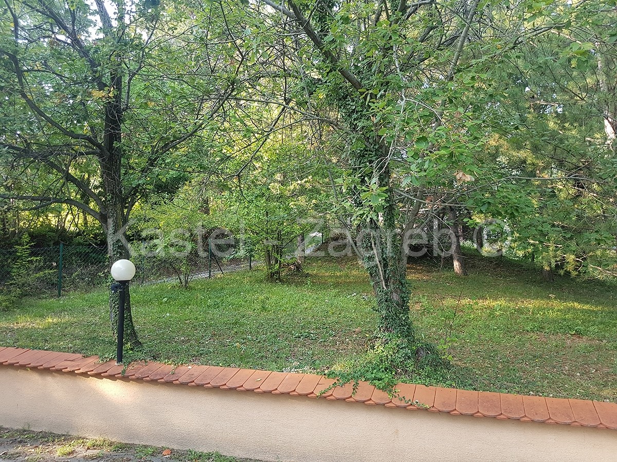 PLEŠIVICA
