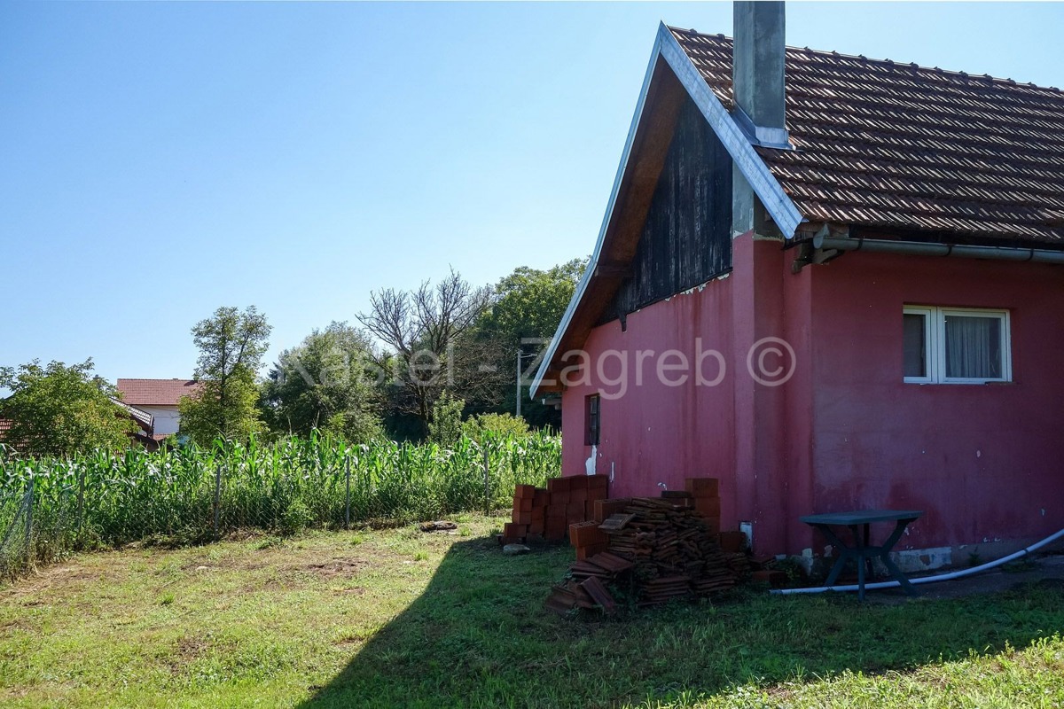image 14