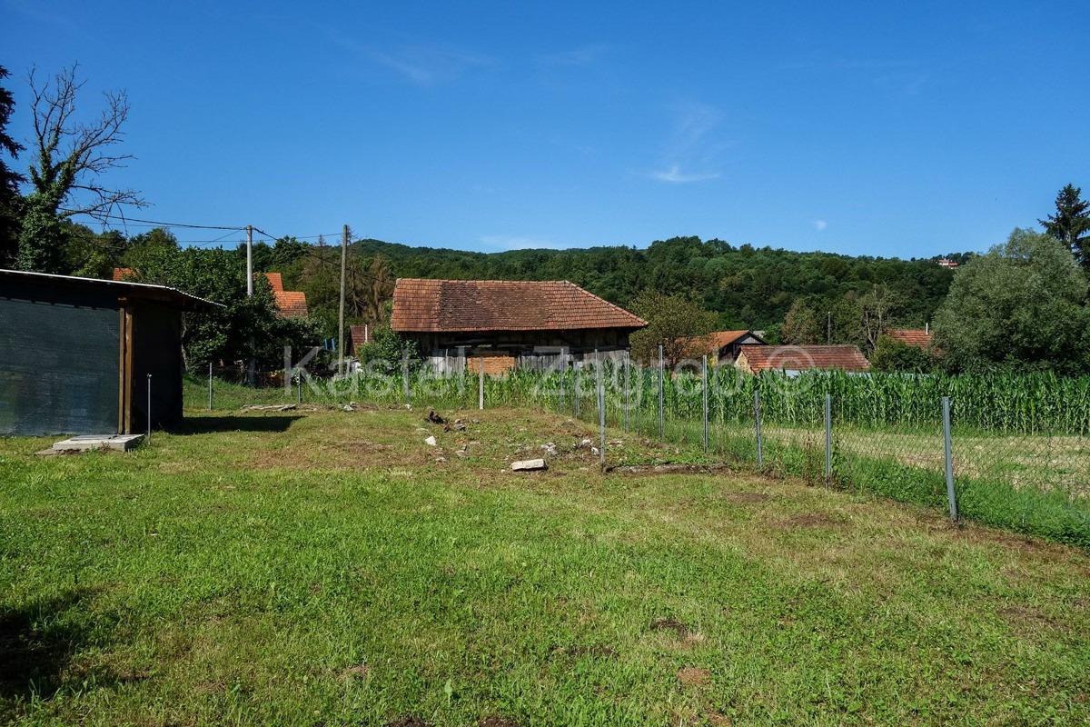 image 15