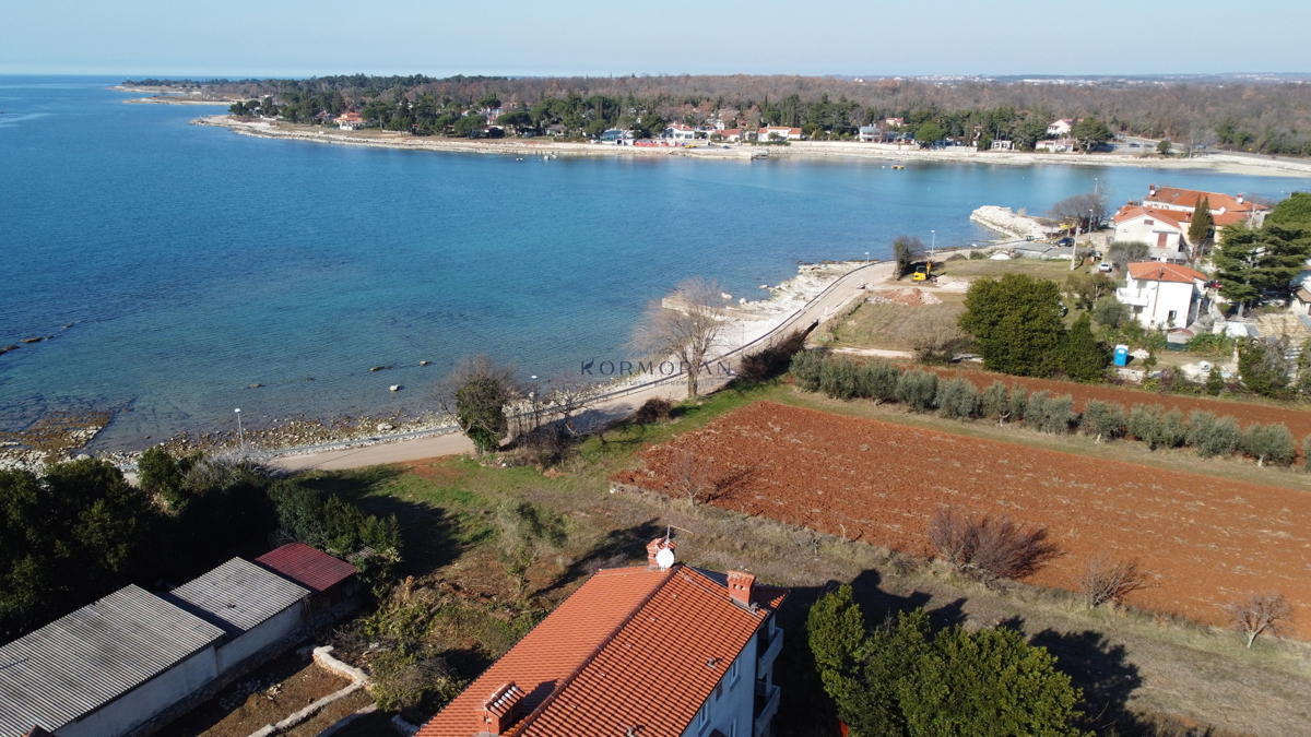 UMAG