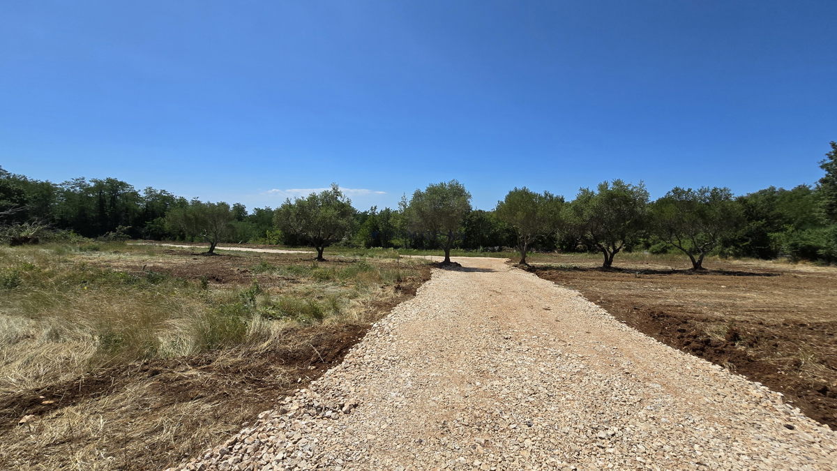 BRTONIGLA