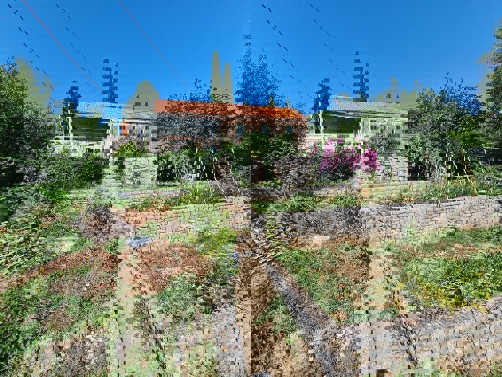 ČIBAČA