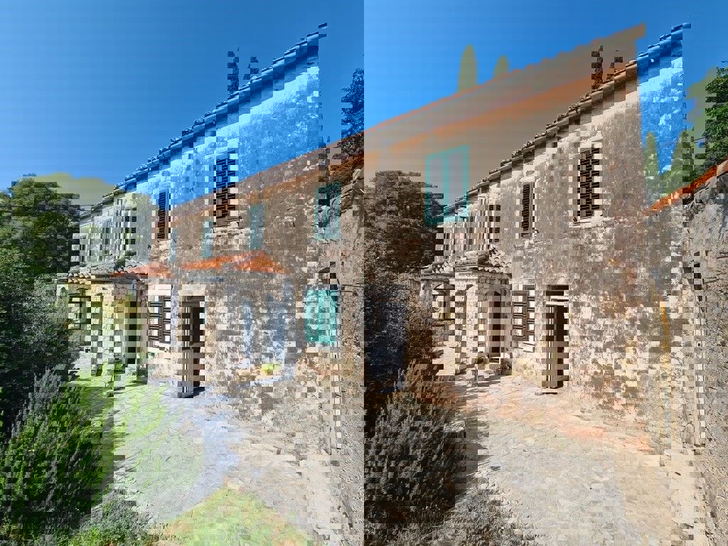 ČIBAČA