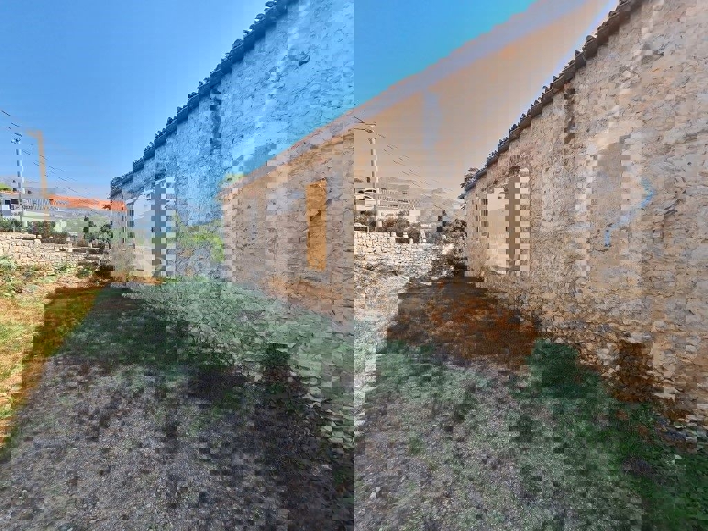 ČIBAČA