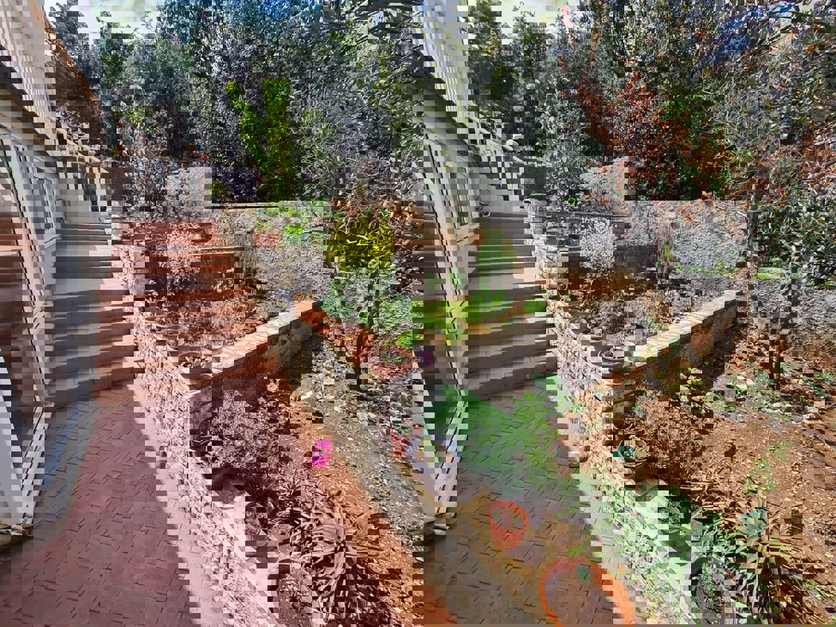ZATON