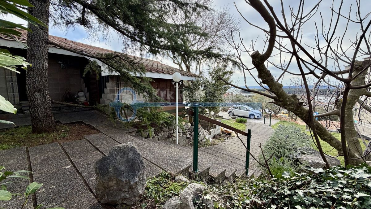 image 33