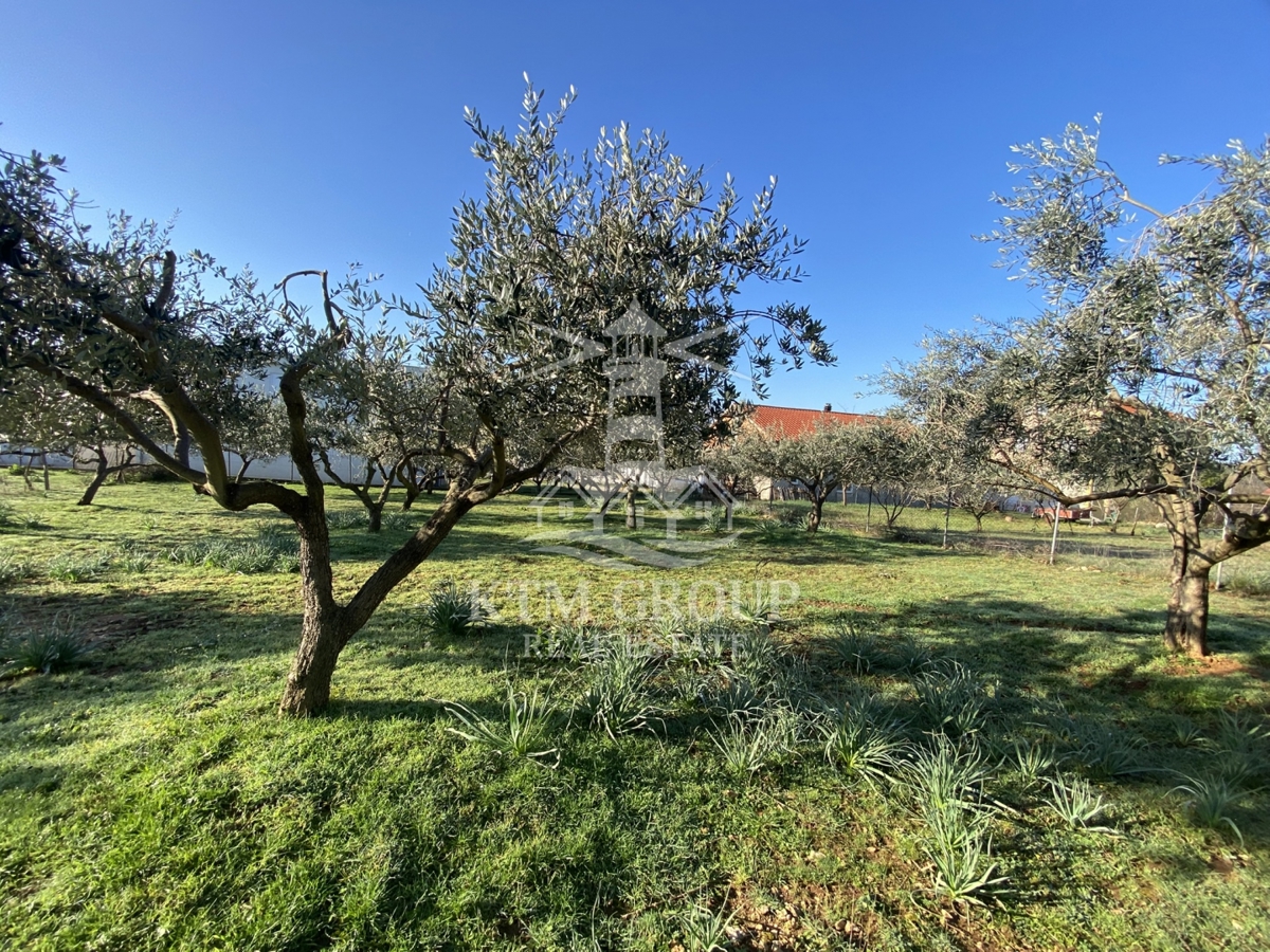 Участок POSEDARJE, 71.000 €