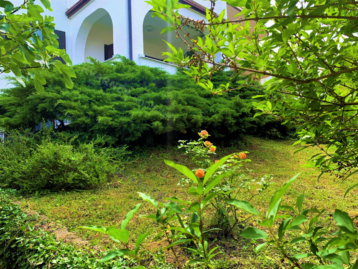 NJIVICE