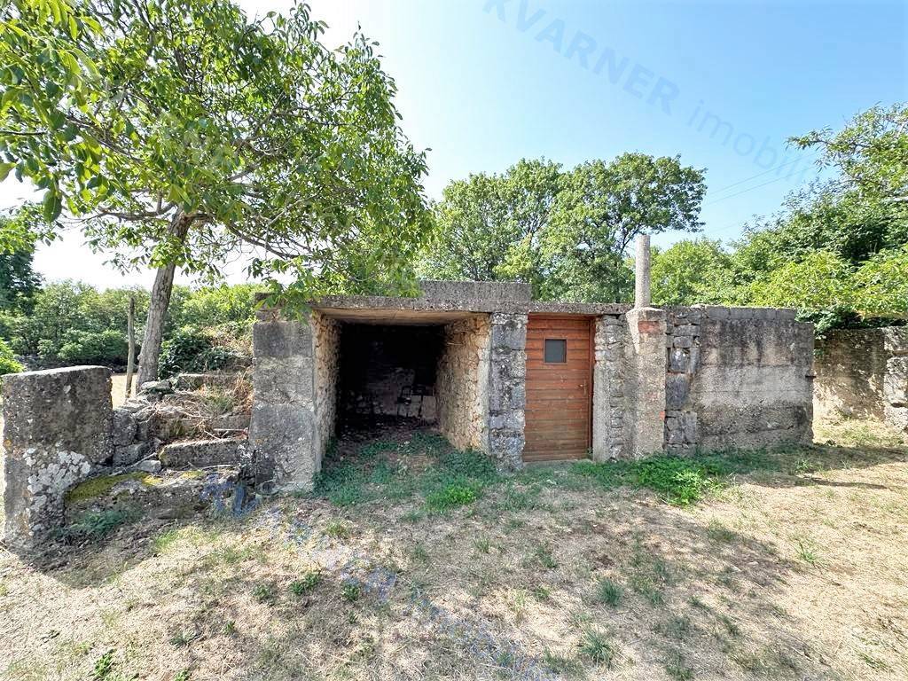 VRBNIK