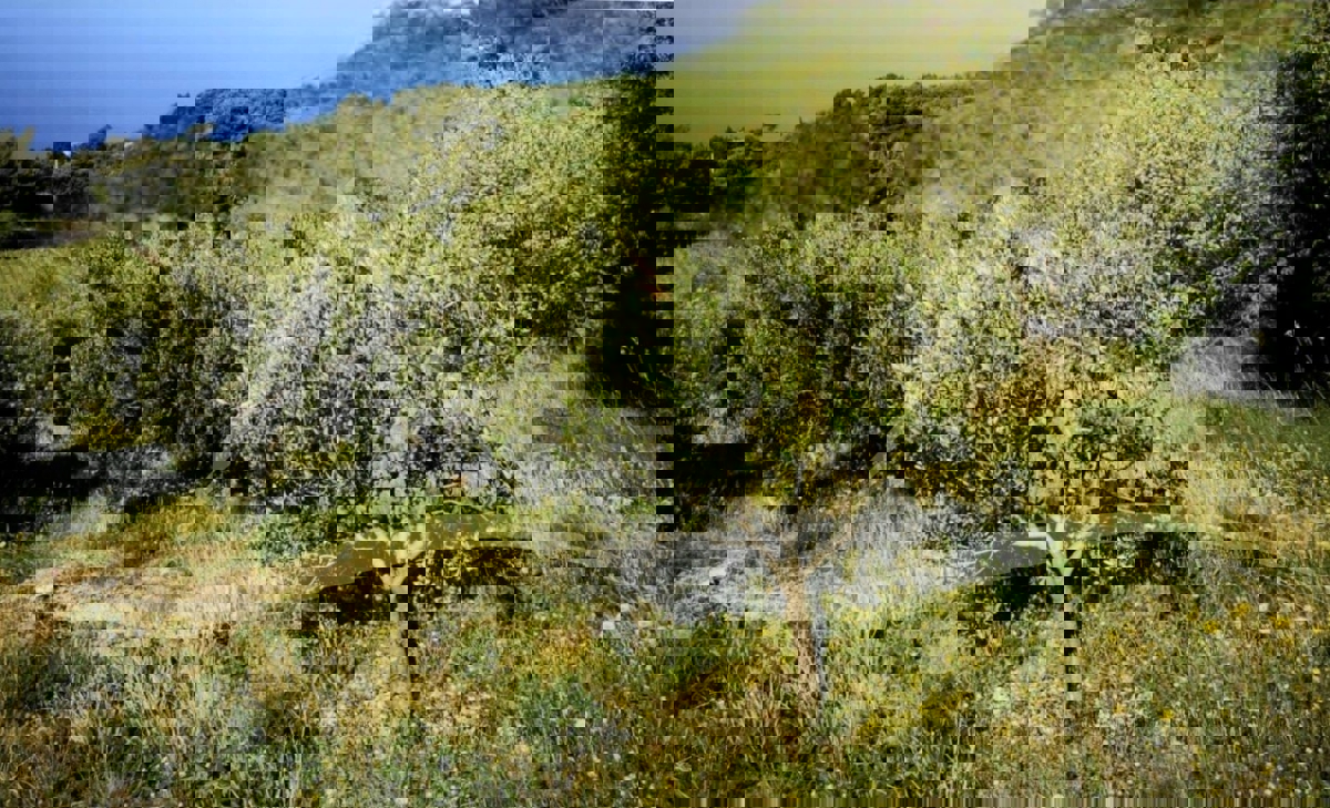 Terreno BRELA, 75.000 €