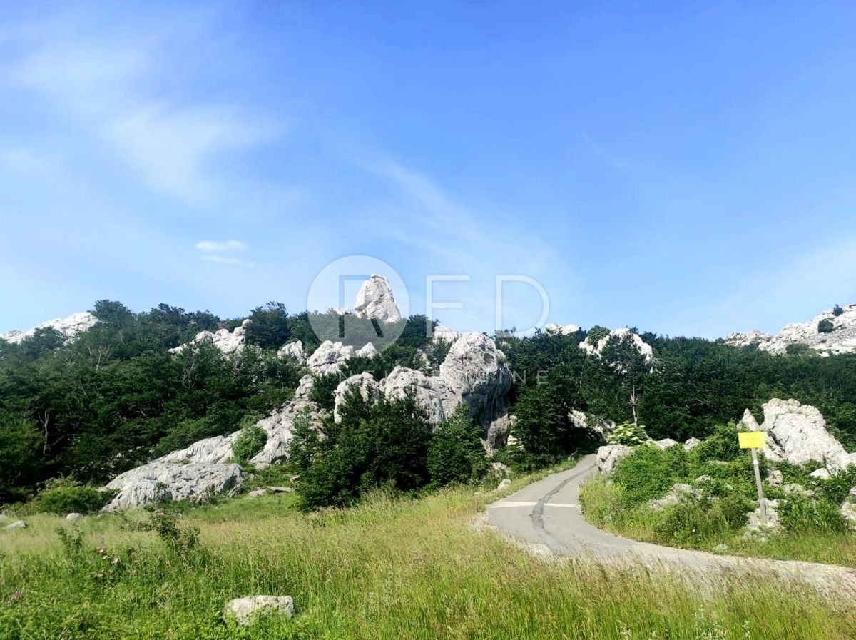 image 33