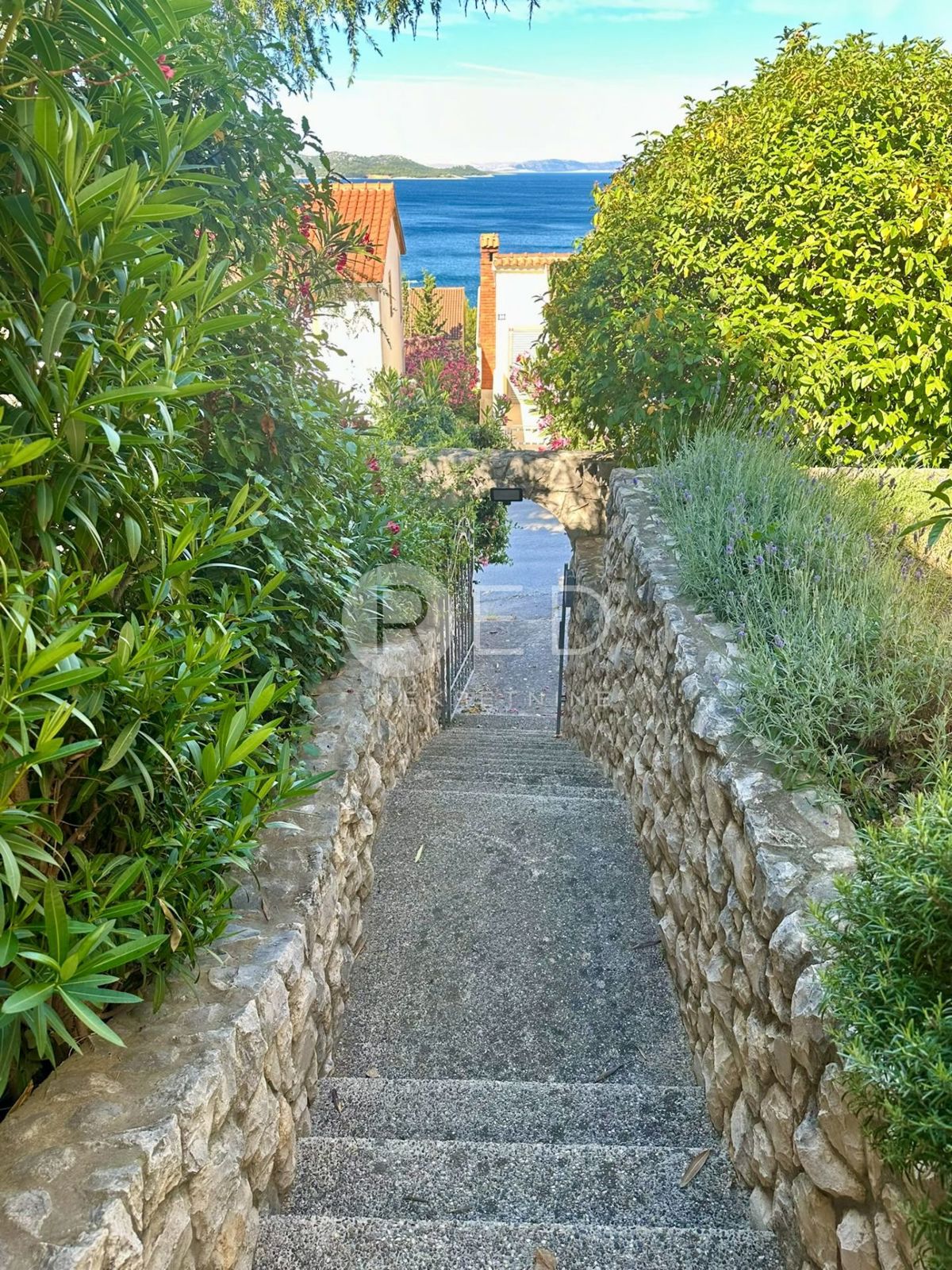 image 16
