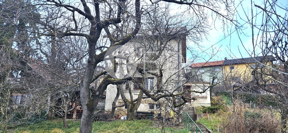 JAČKOVINA