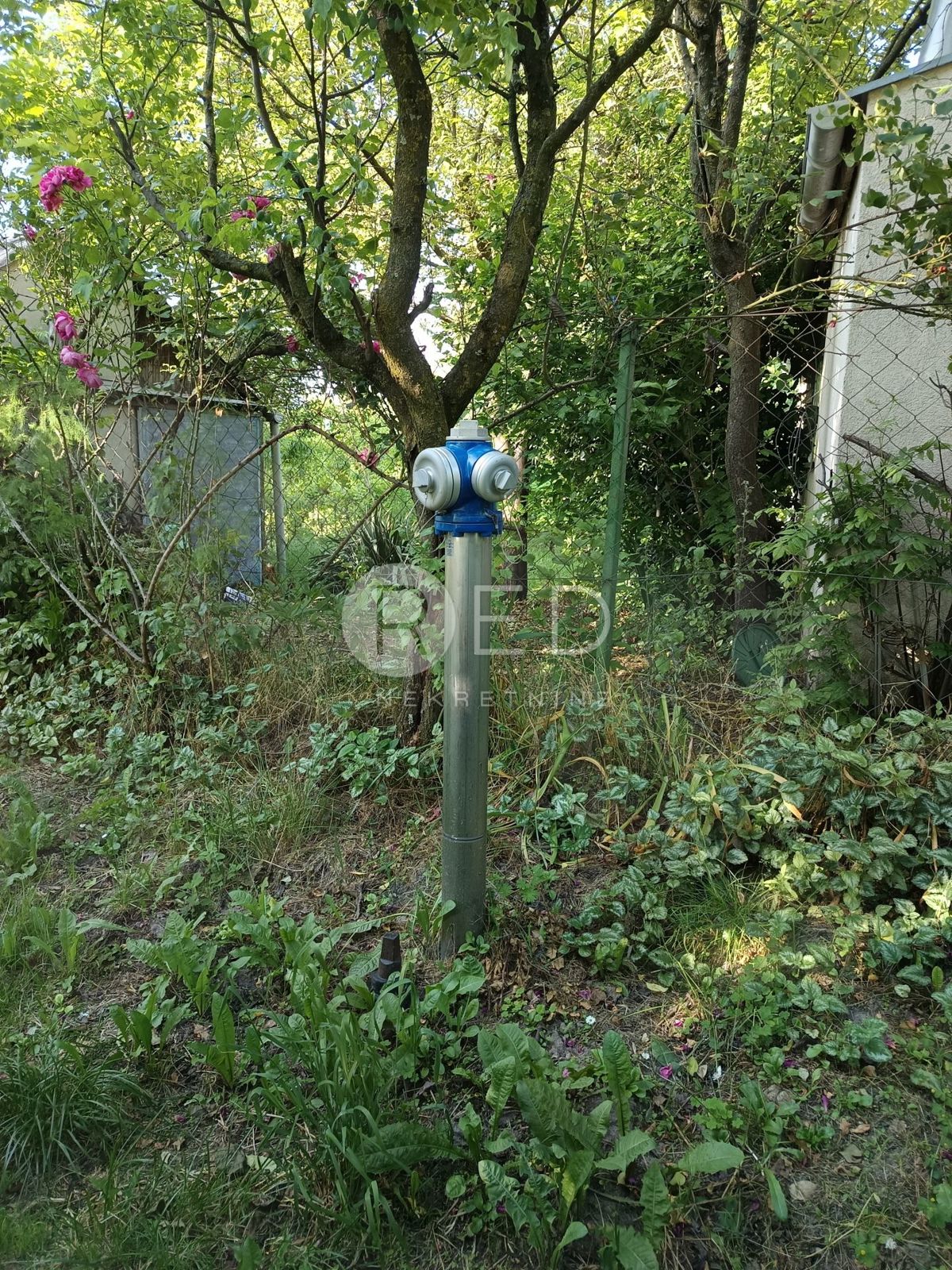 image 37