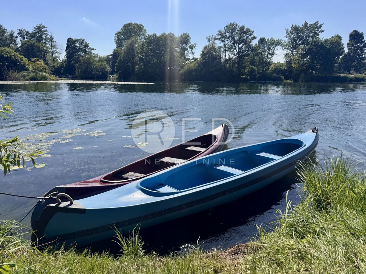 image 33