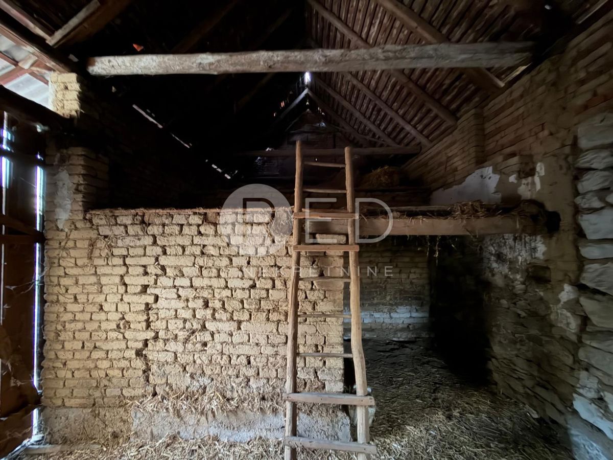 image 13