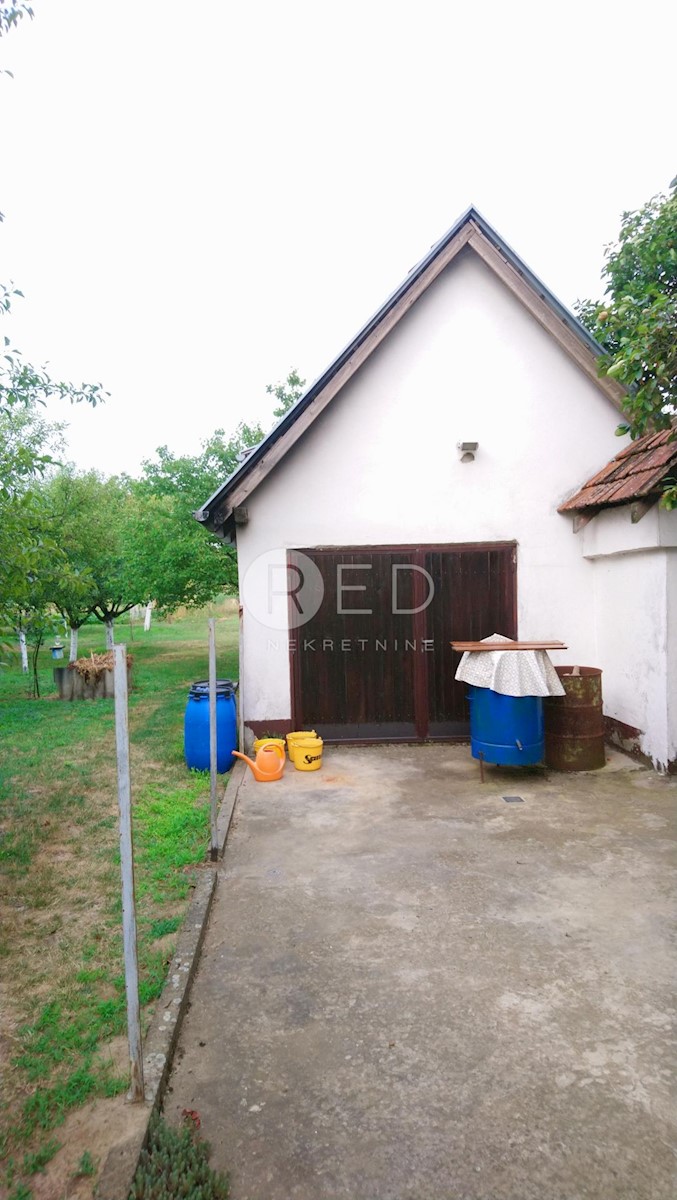 DALJ