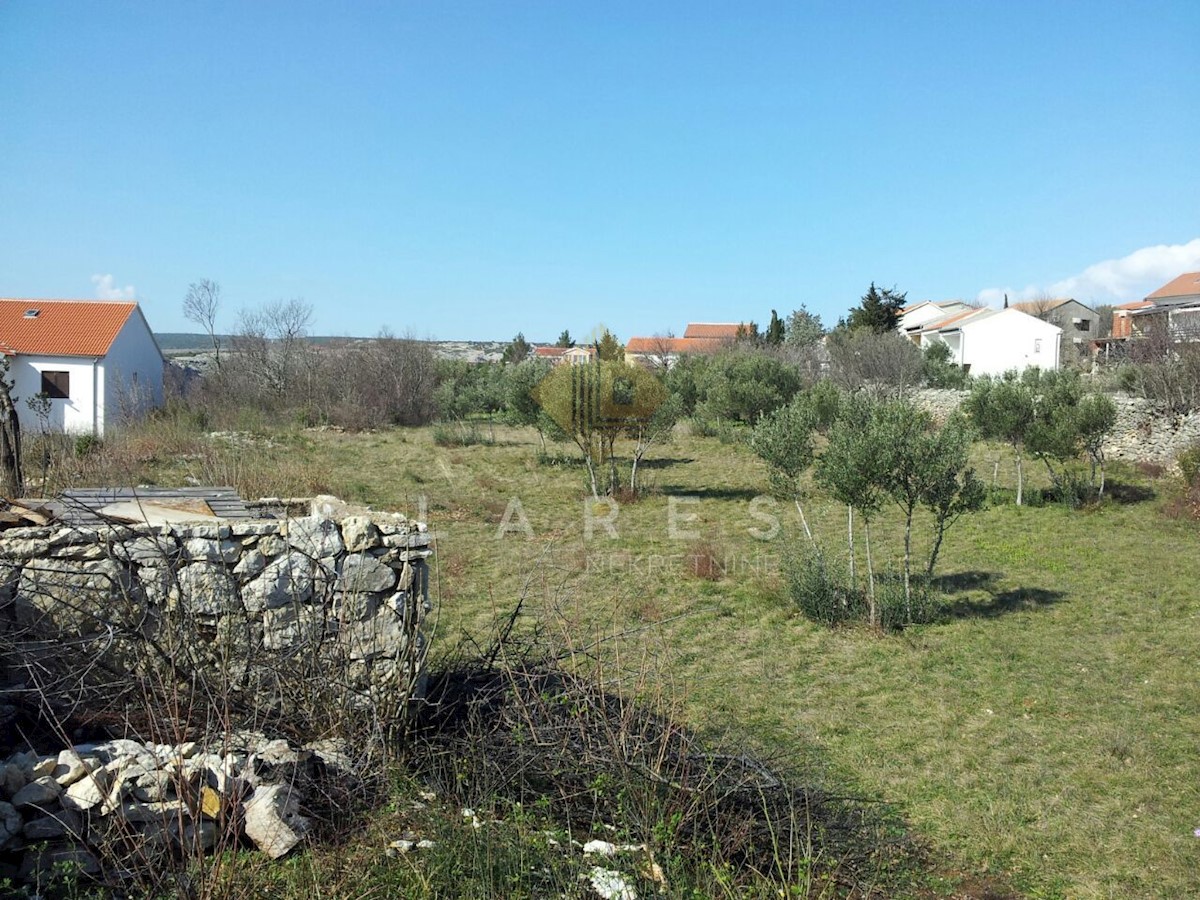 MASLENICA