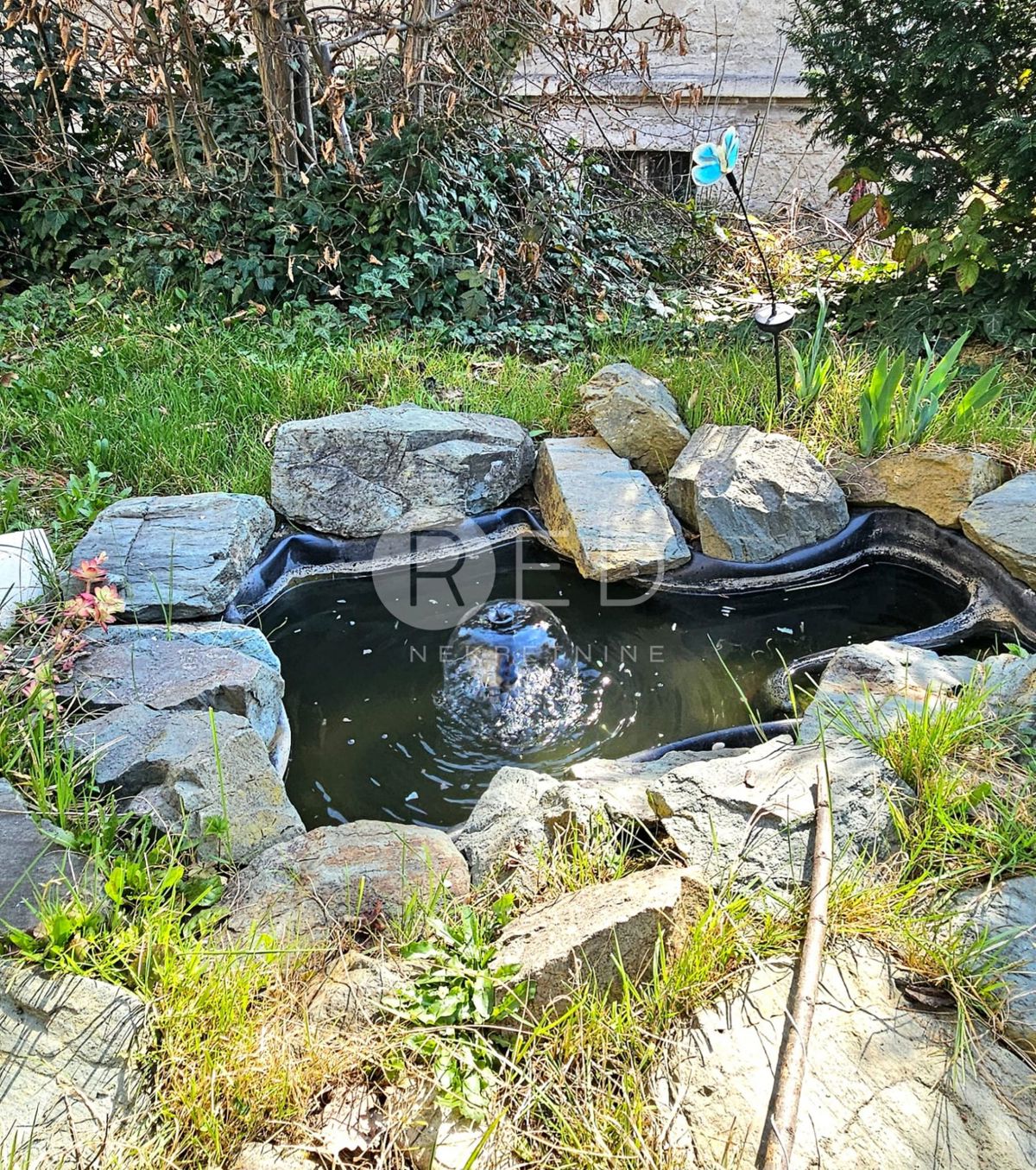 image 18