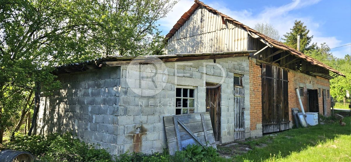 image 18