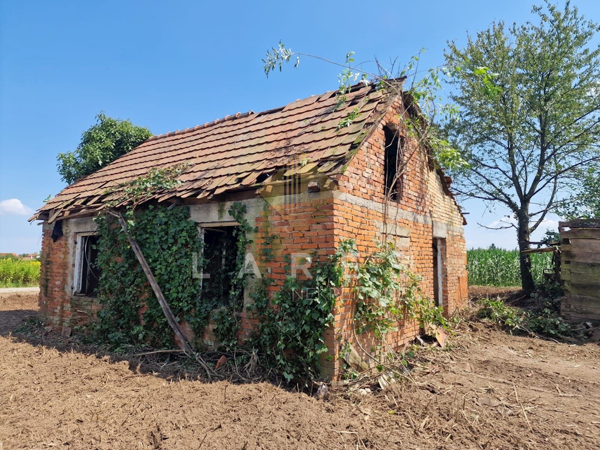 DEMERJE