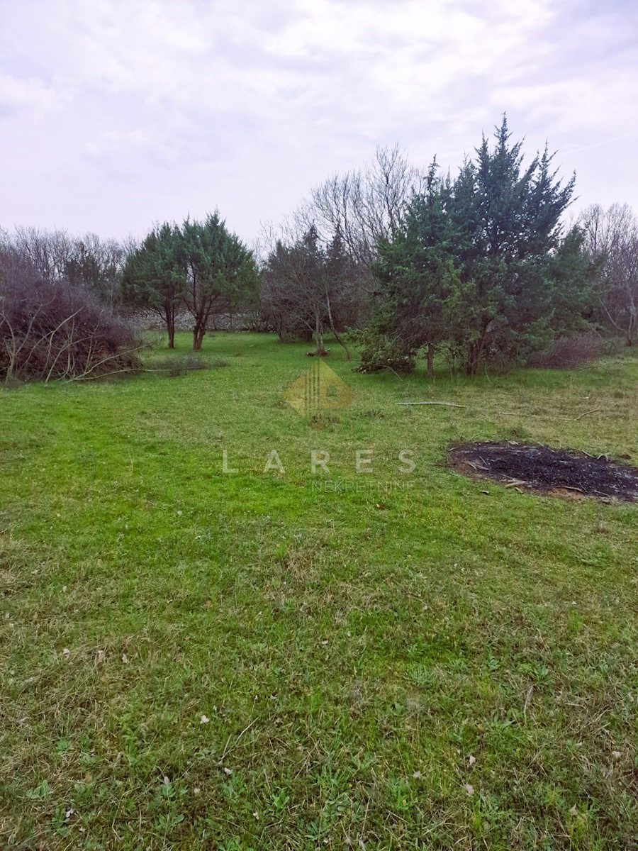 PINEZIĆI