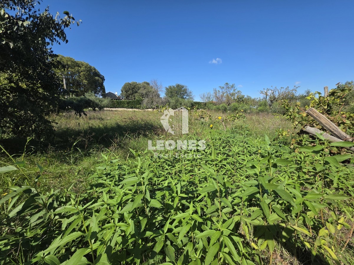 Terreno BUJE, 86.400 €
