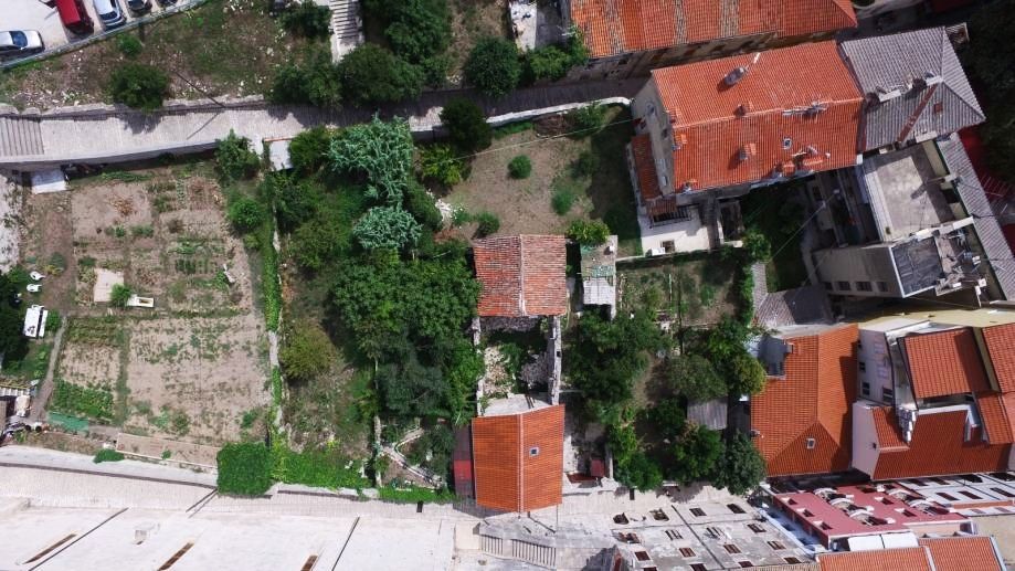 PULA