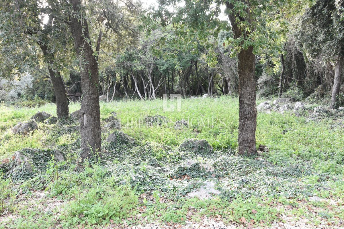 MOLUNAT