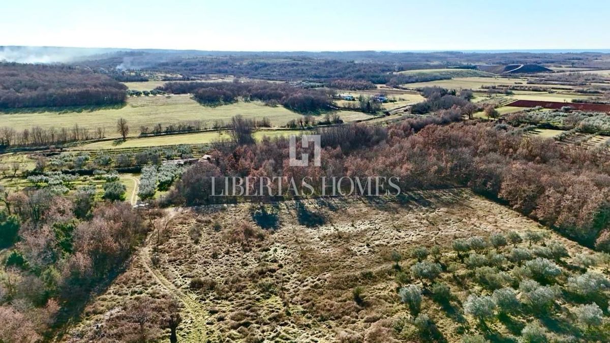 Terreno UMAG, 225.000 €