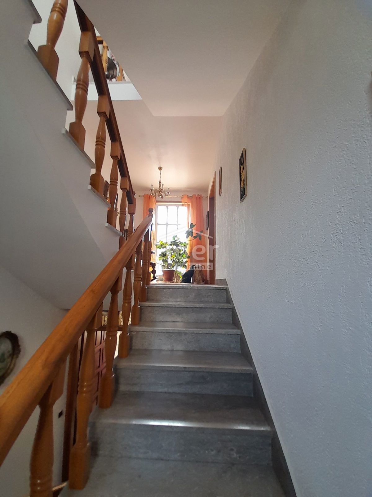 image 23