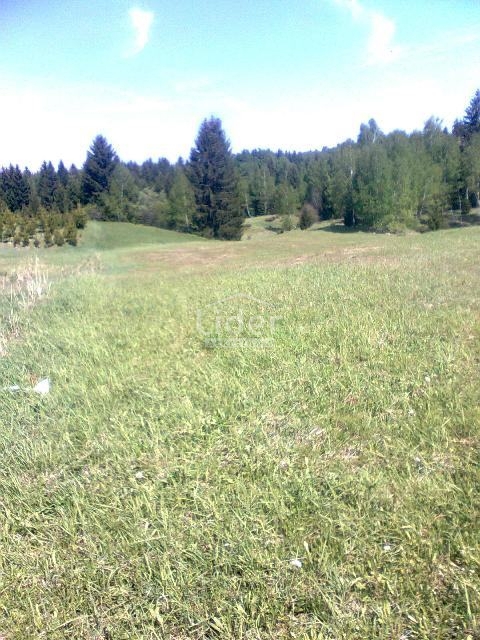 RAVNA GORA