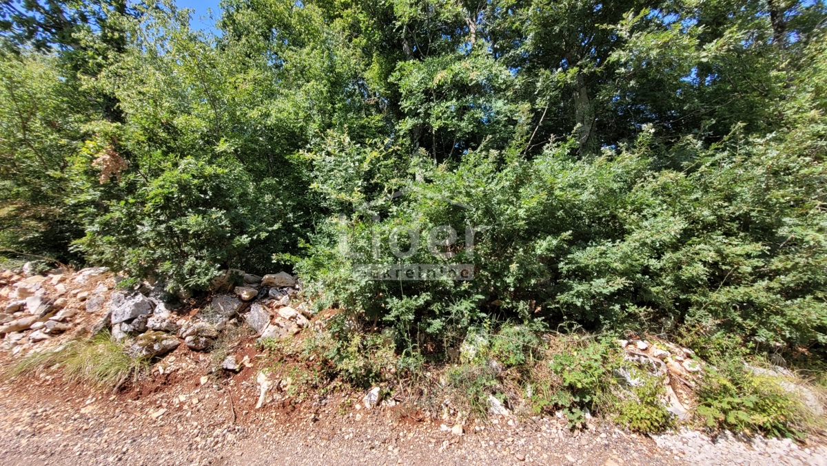 ROVINJSKO SELO
