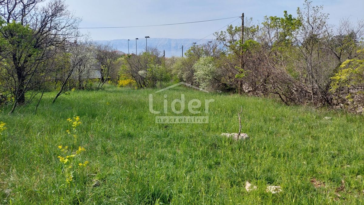 KLENOVICA