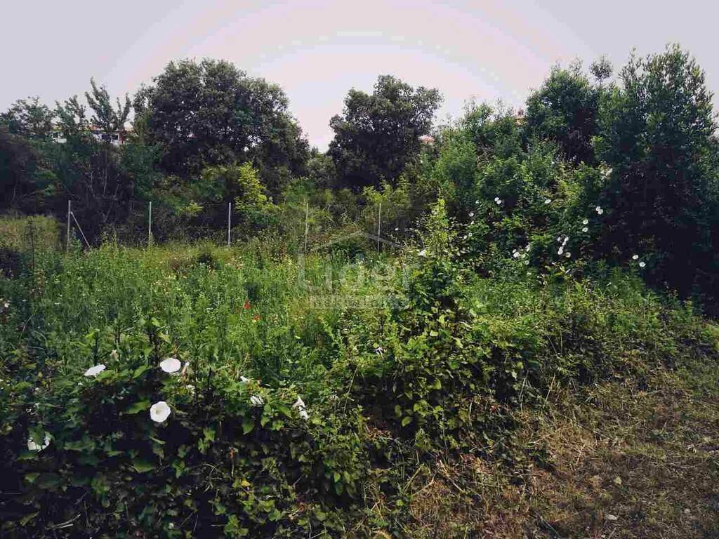 VINKURAN