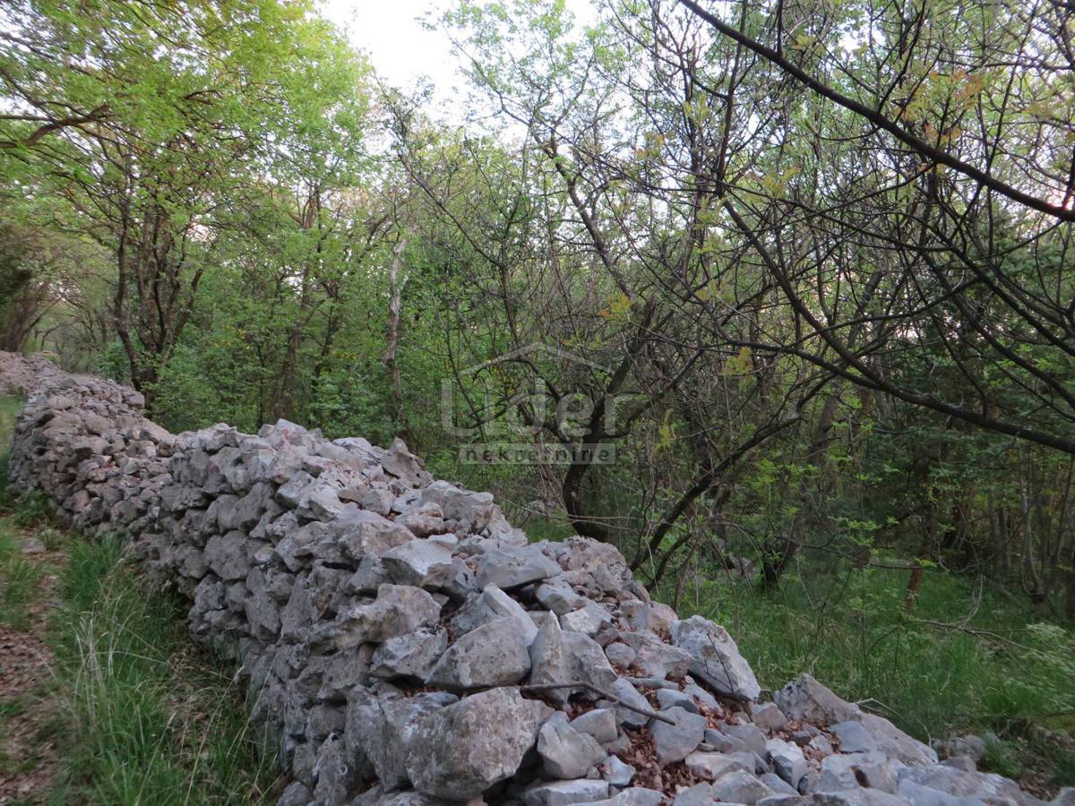DORIČIĆI