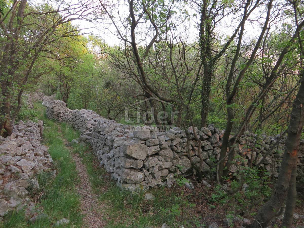 DORIČIĆI