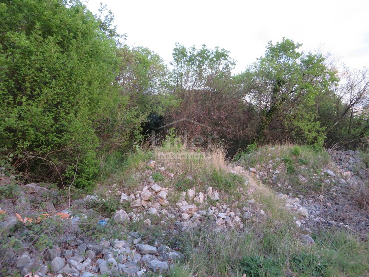 DORIČIĆI