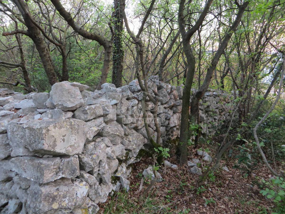 DORIČIĆI