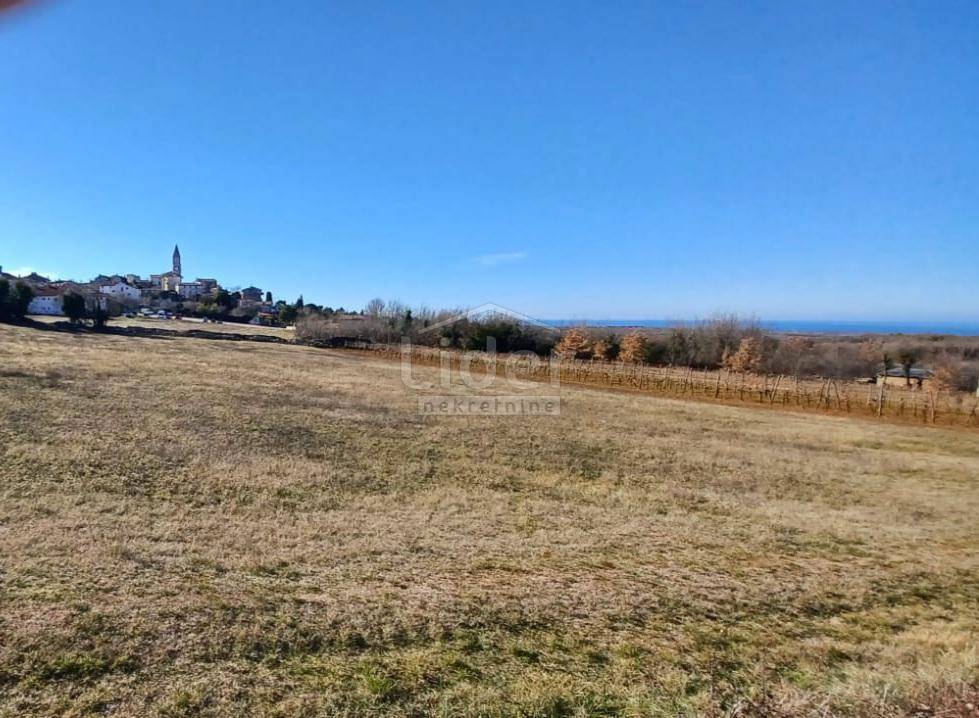 VIŠNJAN