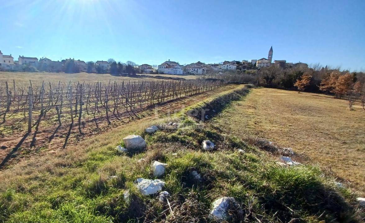 VIŠNJAN