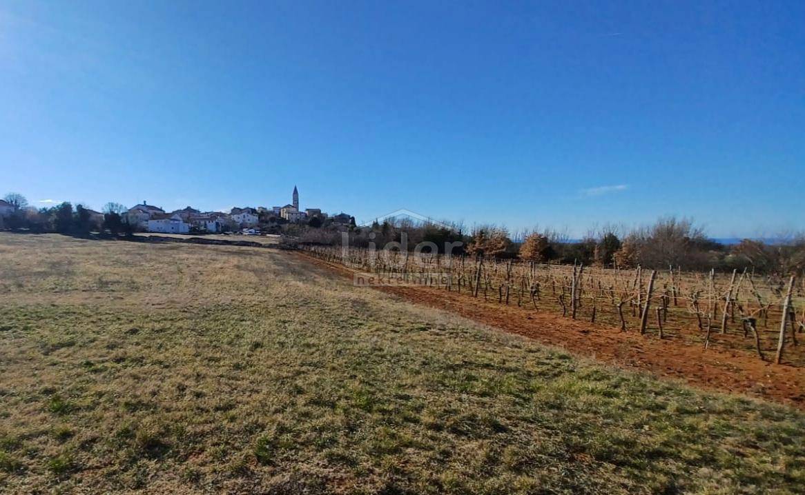 VIŠNJAN