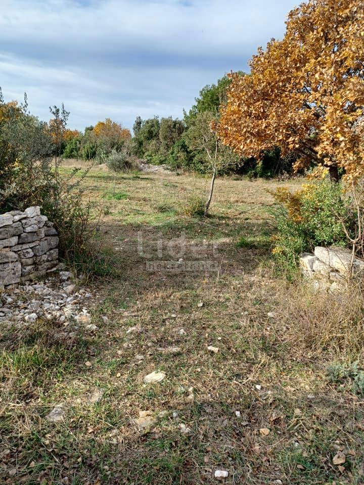 FAŽANA