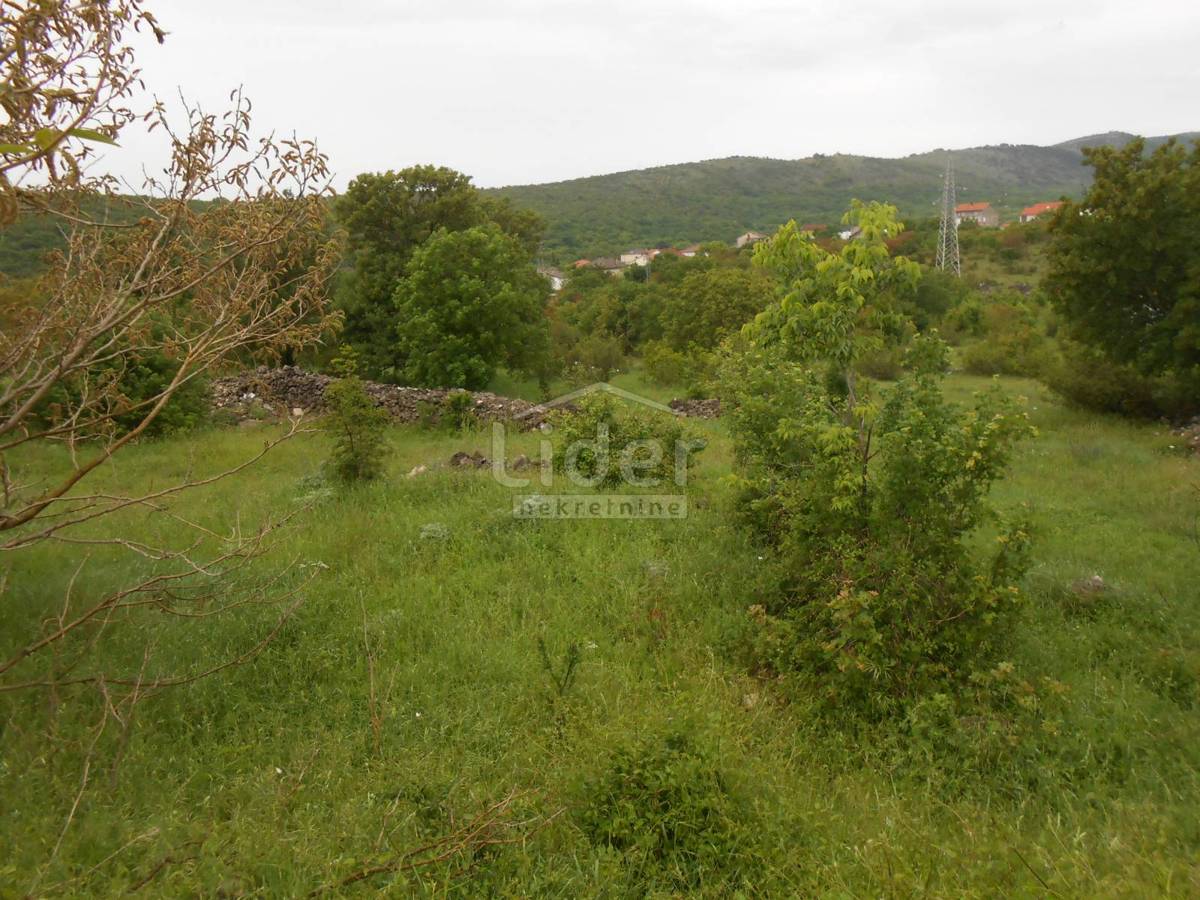 NOVI VINODOLSKI